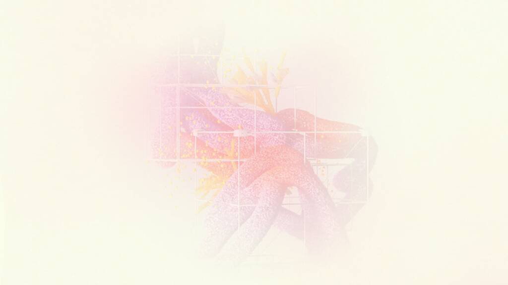 Muse Creative Group Digital Marketing Creative Agency